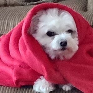 Meet your Posher, Kathy